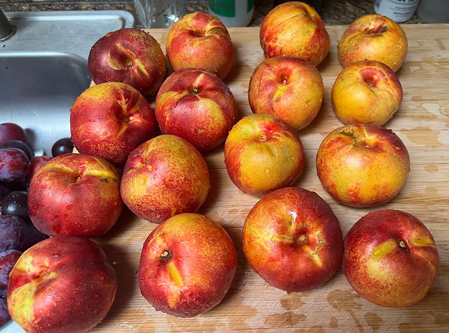 Cover Image for Nectarines from 2023