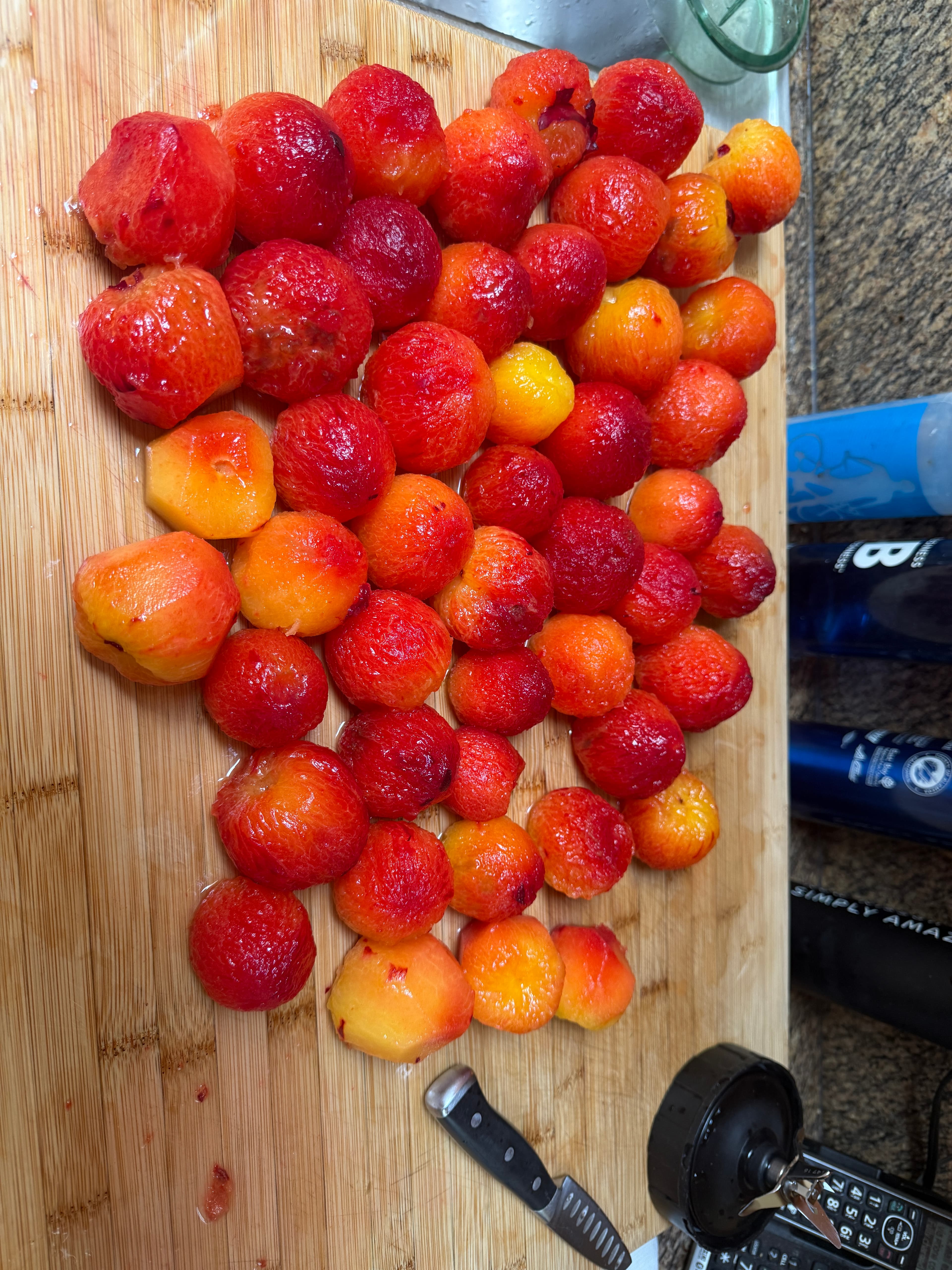 Plum tree at Our Fremont Farm