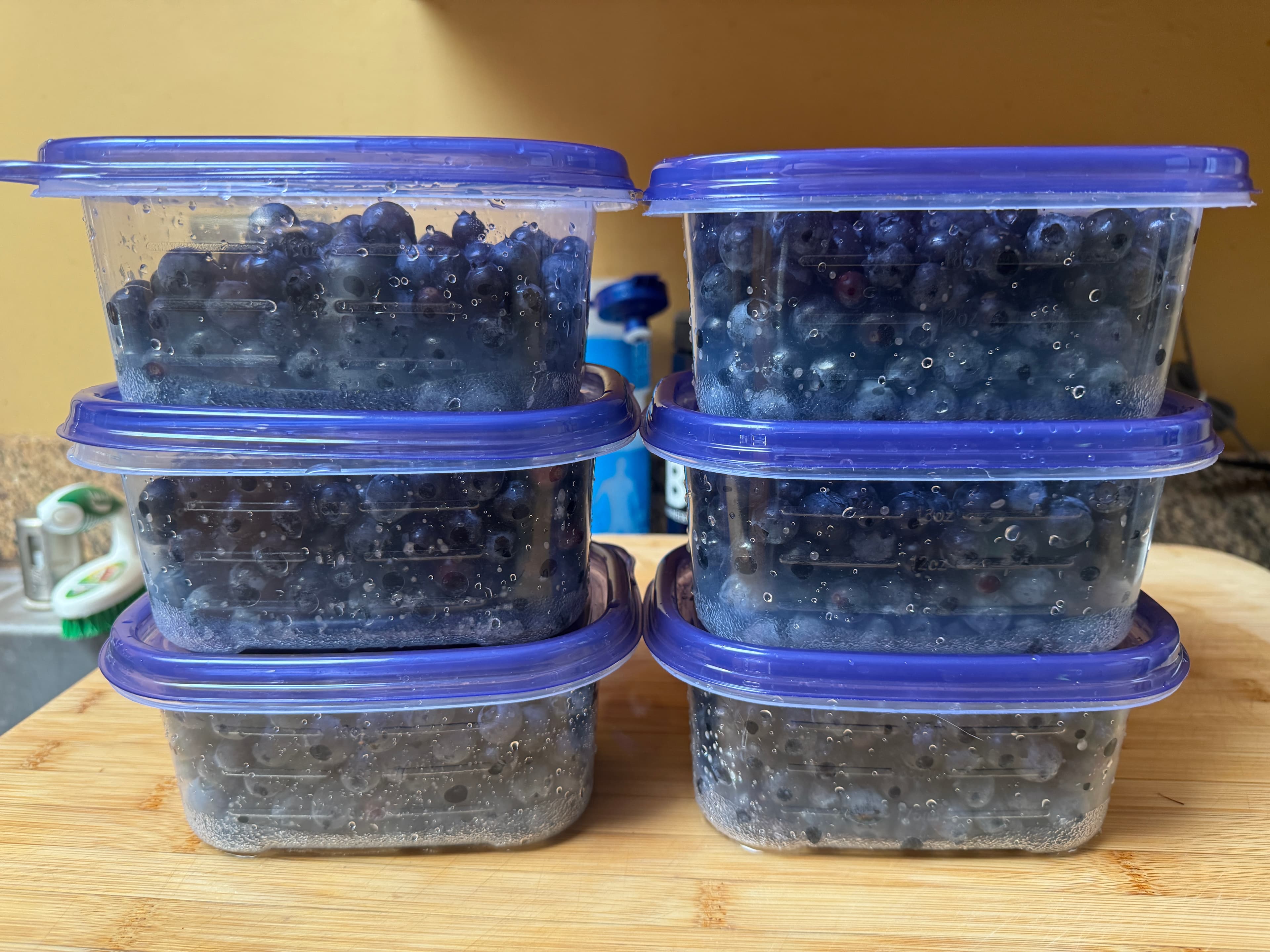 Blueberries at Our Fremont Farm