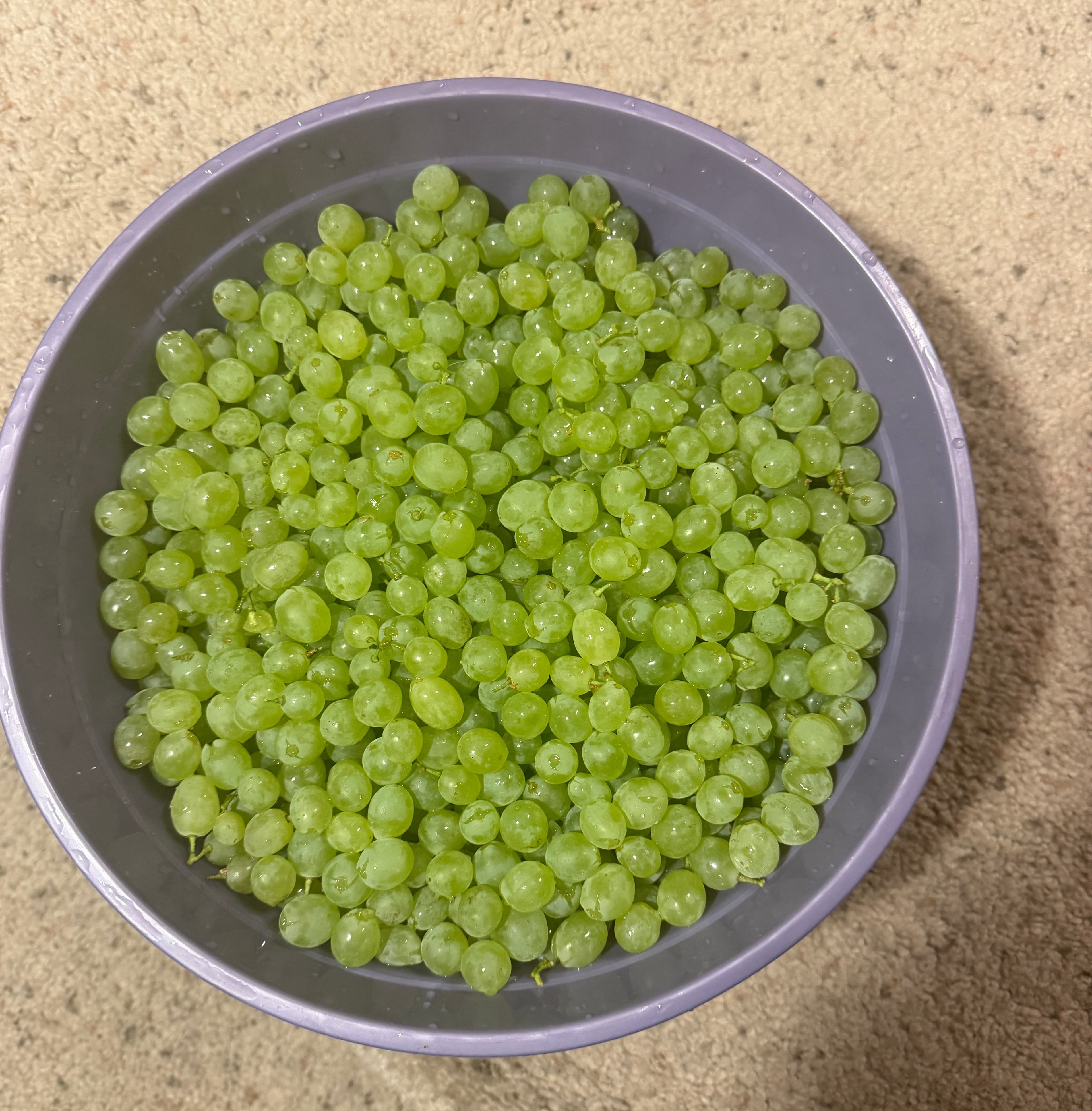 Grapes at Our Fremont Farm