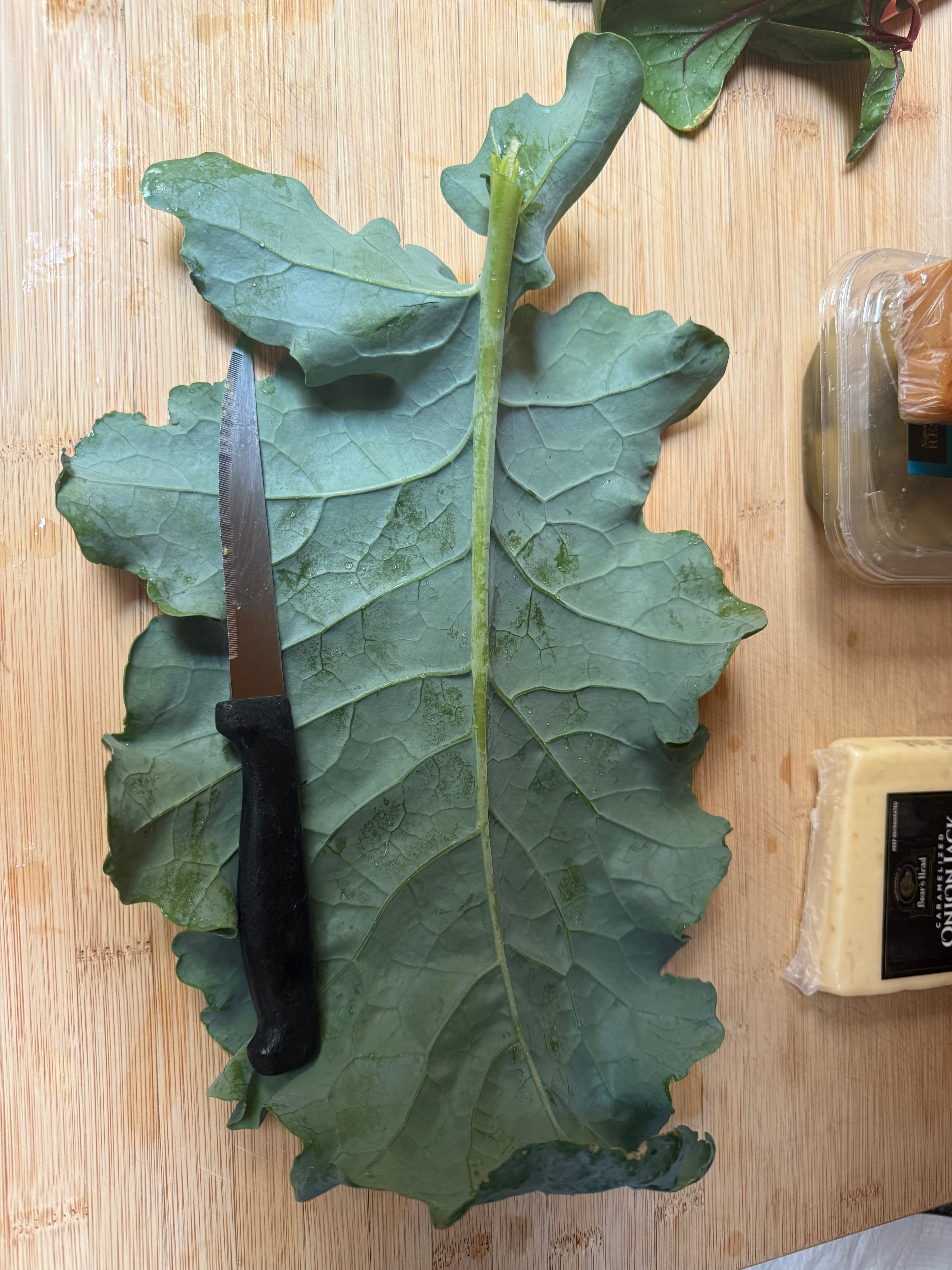 Large kale at Our Fremont Farm