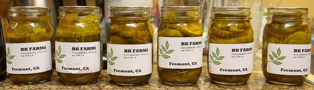 Second Photo for Jenny the Pickler