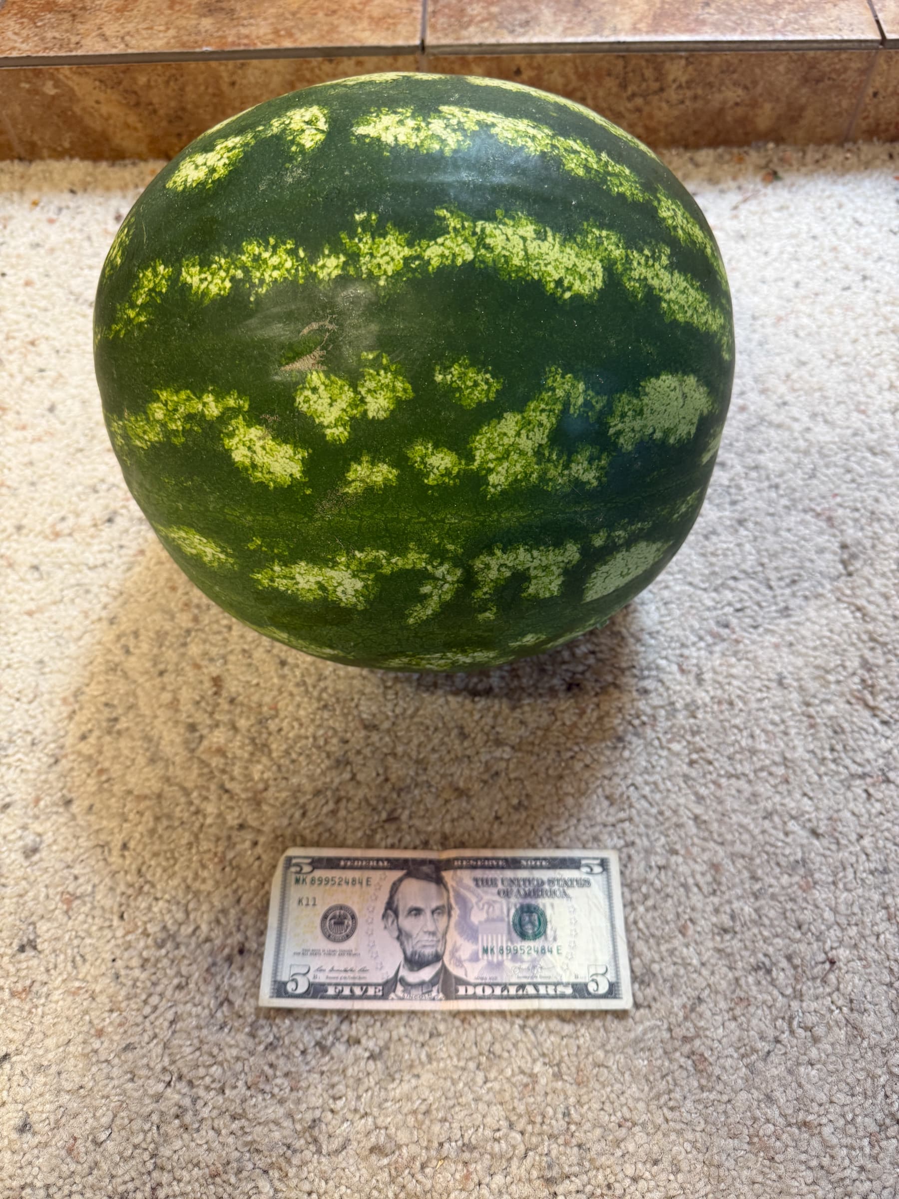 Second Photo for Got a Few Good Ones in 2025