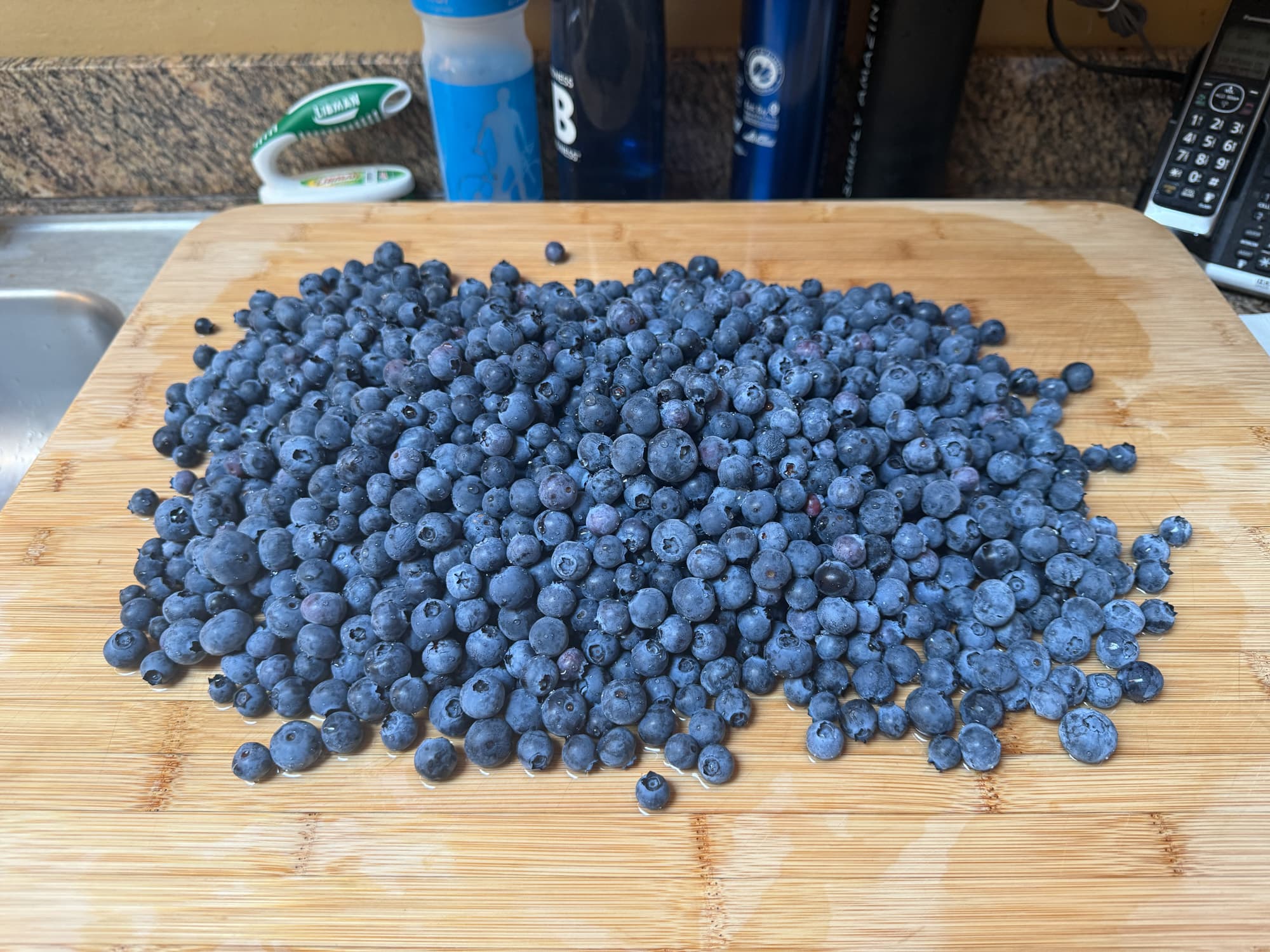 Blueberries at Our Fremont Farm